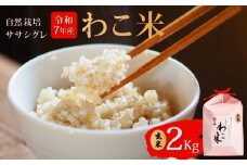  新米 予約 玄米 2kg ササシグレ 自然栽培 幻 お米 自然栽培米 令和7年産 数量限定  わこ米 米 コシヒカリ より あっさり 甘み 石川県 石川 羽咋 能登 復興支援 災害支援 予約 健康 先行予約