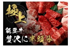 能登牛 半頭買い 一括配送 牛肉 冷凍 肉 希少 和牛 とろける 柔らか 口当たり お肉 ブランド牛 黒毛和牛 高品質 やきにく 焼き肉 すき焼き 炒め物 牛丼 BBQ 煮込み カレー 肉じゃが お祝い ふるさと納税 石川 能登 羽咋 能登半島 災害支援 復興 支援