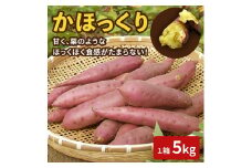 【先行予約】【2025年収穫分】かほっくり 5kg （1箱）さつまいも |  芋 5キロ 甘い ホクホク 甘味 スイーツ 焼き芋 国産 さつま芋 スイートポテト 大学芋 