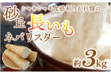 【先行予約】【2025年収穫分】長いも ネバリスター 1箱 3kg