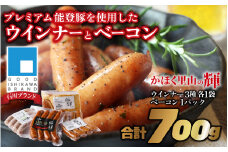 かほく里山の輝 1箱 700g かほく市 能登 入口 ソーセージ  ベーコン ブランド豚 豚輝 ギフト 5品 詰合せ バーベキュー
