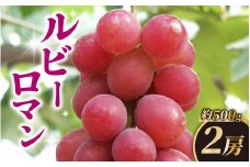 【先行予約 2026年収穫分】ルビーロマン 約500g × 2房（2箱）【2026年8月中旬より順次発送】