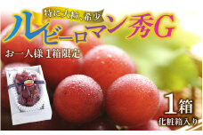 【先行予約】【2025年収穫分】  ルビーロマン 秀G1箱 ｜希少 貴重 数量限定  ぶどう ブドウ 葡萄 種なし ジューシー 甘い 大粒 大きい  宝石 るびー ギフト かほく市 能登 入口