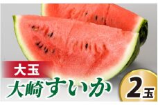 ＜２０２５年収穫分　先行予約＞大崎すいか　１箱