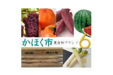 かほく市農産物ブランド6品目セット