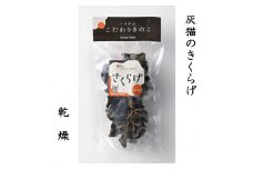 灰猫のきくらげ　乾燥　１組