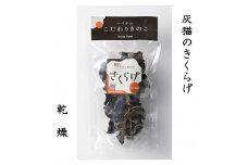 灰猫のきくらげ (乾燥) 15g × 3袋   |  国産 食物繊維 キクラゲ 生きくらげ 鉄分 木耳 きのこ キノコ 