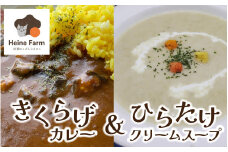 灰猫のきくらげカレー&ひらたけクリームスープのお試しセット