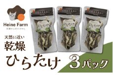 灰猫のひらたけ（乾燥）