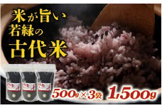 若緑の古代米 500g×3袋 計1.5kg / こめ 米 おこめ 黒米 ご飯 国産 栄養 アントシアニン 常温 雑穀米 紫黒米 