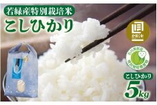 【先行予約】若緑産 特別栽培米「こしひかり」【2026年1月発送】