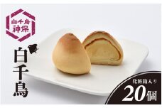 白千鳥  20個入り