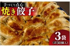 【本格手作り】冷凍 餃子セット（10個入り × 3袋  計 30個）