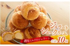 濃厚ミルクのジェラートシュークリーム 10個入り / シューアイス シュークリーム 生クリーム スイーツ スウィーツ お菓子 おやつ デザート 洋菓子 焼菓子 個包装 冷凍