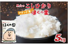 【先行予約】里山のこしひかり ほくの里 5kg × 1袋【2月配送】 | 