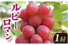 【先行予約 2026年収穫分】ルビーロマン 1房 約350g（お試しサイズ）【2026年8月中旬より順次発送】
