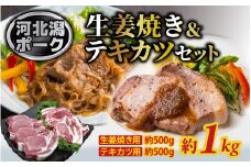 河北潟ポーク 生姜焼き & テキカツセット 約1kg | お肉 豚肉 ブランド豚 しょうが焼き ステーキ 冷蔵配送 国産 スライス 厚切り