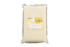 やまだ農場の鳥越こしひかり20kg(5kg×4パック)白米【1019157】