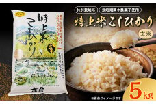 六星の特上米こしひかり『玄米』5kg【1037389】