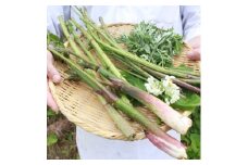 ＜休前日を除く平日限定＞白山の地の食材に拘った＜お肉一切無しのヘルシー炭火膳付き＞ペア宿泊券【1040250】