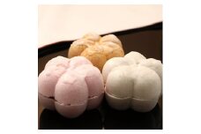 福梅15個入り【1029751】