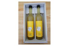 ＜白山の地酒＞天狗舞リキュール　「クラフトリキュール　YUZU」2本セット【1133884】