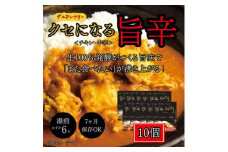 発酵スパイスカレー10個★5種のスパイスと白山麓のW発酵 芳醇な香り&クセになる旨辛 グルテンフリー【1376659】