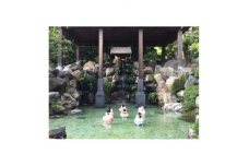 白山比め神社みそぎ体験【1481723】