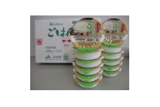ふっくらおいしい「松ちゃんのごはん」　　パックごはん(180g×12パック)【1549927】