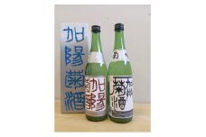 ＜白山の地酒＞菊姫の菊酒セット　720ml×2本【1553722】