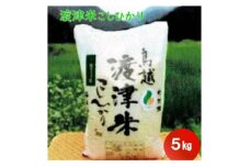 《高級日本料理店採用》蛍の里「渡津米」白米5kg・栽培期間中農薬化学肥料70%減【1556918】