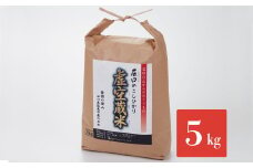 [№5784-0077]令和6年度産・白山の恵みで育てたこしひかり 虚空蔵米 5kg