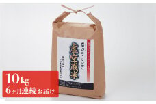 [№5784-0080]令和5年度産・白山の恵みで育てたこしひかり 虚空蔵米 10kg(6ヶ月連続お届け）