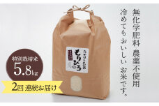 [№5784-0190]石川県産特別栽培米コシヒカリ「もりひろ」5.8kg2回連続お届け