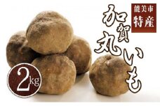 [№5784-0464]能美市産 加賀丸いも 2kg