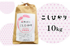 [№5784-0470]根上屋のこしひかり 10kg