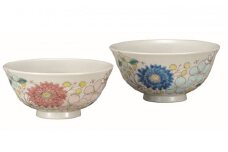 [№5784-0499]九谷焼　組飯碗・花はな（2個セット）
