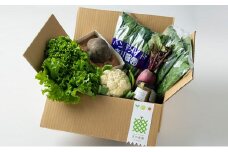 [№5784-0509]特産「加賀丸いも」入り季節の野菜とオリジナルバーニャカウダセット