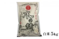 [№5784-0527]有機米こしひかり「水の精」白米5kg