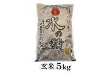 [№5784-0528]有機米こしひかり「水の精」玄米5kg