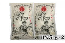 [№5784-0529]有機米こしひかり「水の精」白米5kg×2個