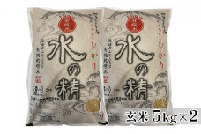 [№5784-0530]有機米こしひかり「水の精」玄米5kg×2個