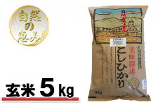 [№5784-0566]自然農法米こしひかり「自然の恵み」玄米5kg《特別栽培米》