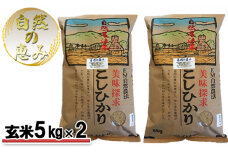 [№5784-0568]自然農法米こしひかり「自然の恵み」玄米5kg×2個《特別栽培米》