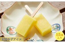 [№5784-0591]国造ゆずアイス　15本入り