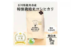 [№5784-0594]【日本農業賞大賞】特別栽培米コシヒカリ9kg(4.5×2)精白米