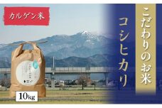 [№5784-0619]北本農場こだわりのお米令和7年度産コシヒカリ精米10kgカルゲン米