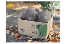 [№5784-1334]【先行予約】能美市特産品加賀丸いも 3kg 