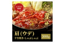 [№5784-1352]肉【和牛セレブ】能登牛　牛肩(うで) すき焼き・しゃぶしゃぶ 300g 黒毛和牛 霜降り ギフト 石川県 能美市