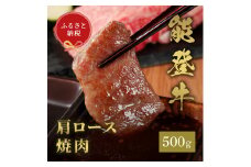[№5784-1359]肉【和牛セレブ】能登牛 牛肩ロース 焼肉 500g 肩ロース 黒毛和牛 霜降り ギフト 石川県 能美市